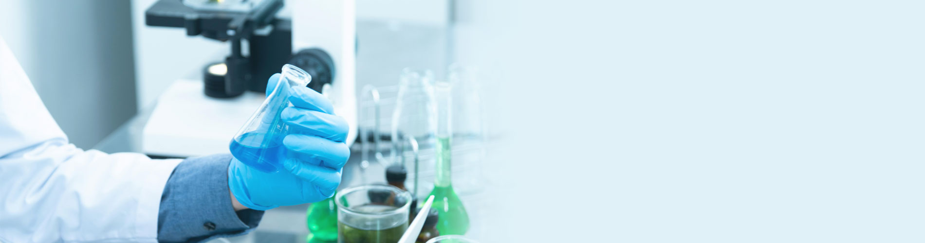 <p><strong>Excelencia y confianza</strong> en nuestros servicios</p>