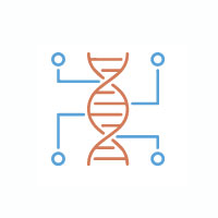 Pruebas de paternidad e identificación humana