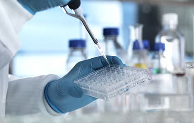 Laboratorio Clínico