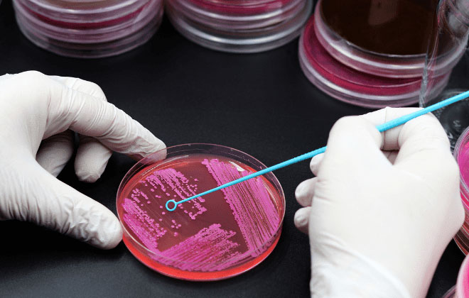 Laboratorio Clínico